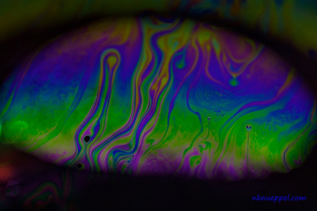 confinement2020_bubble