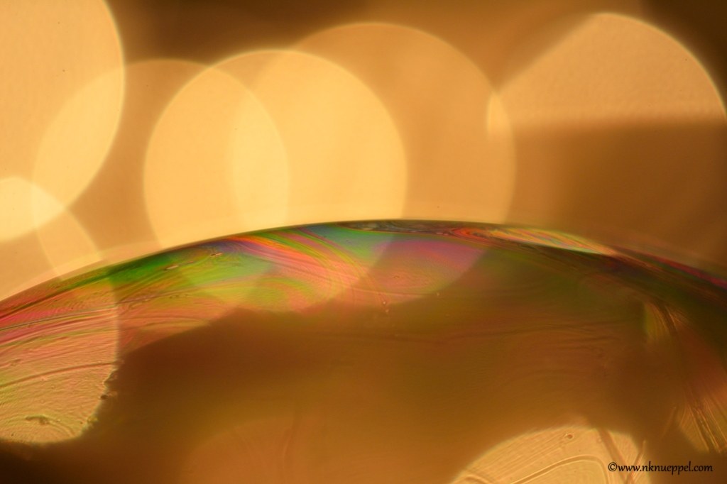 confinement_2020_8