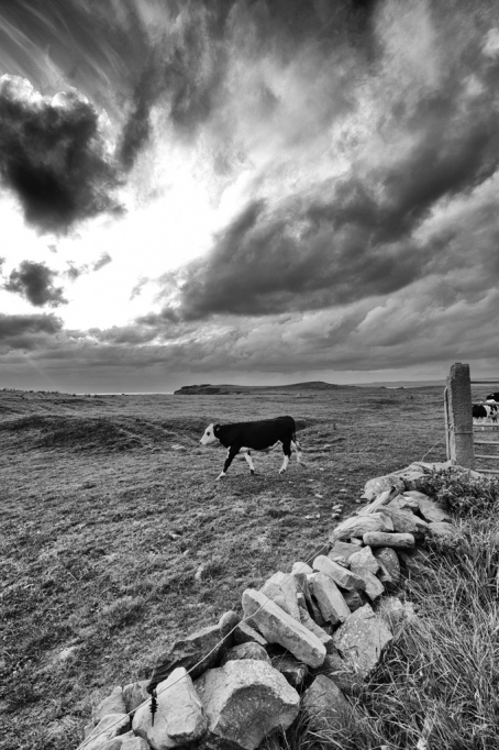 countryside