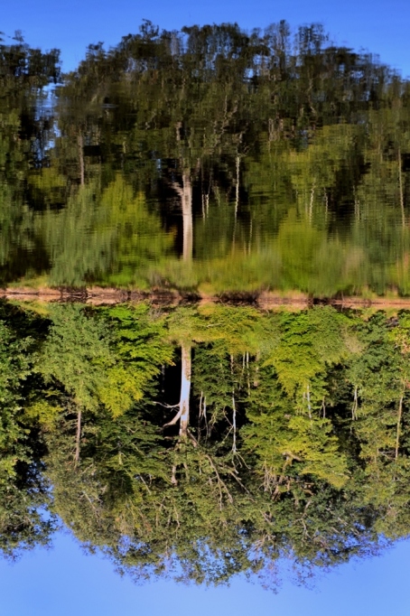 countryside_017
