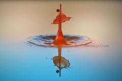 the bell