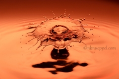 splash